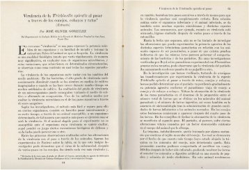 Virulencia de la Trichinella spiralis al pasar a travez de los conejos ...