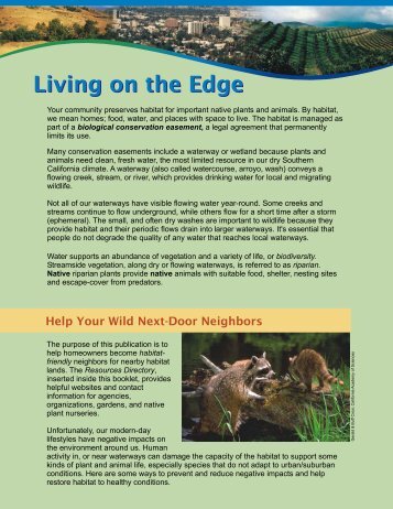 Living on the Edge brochure 1-18-07 - Riverside County Flood Control