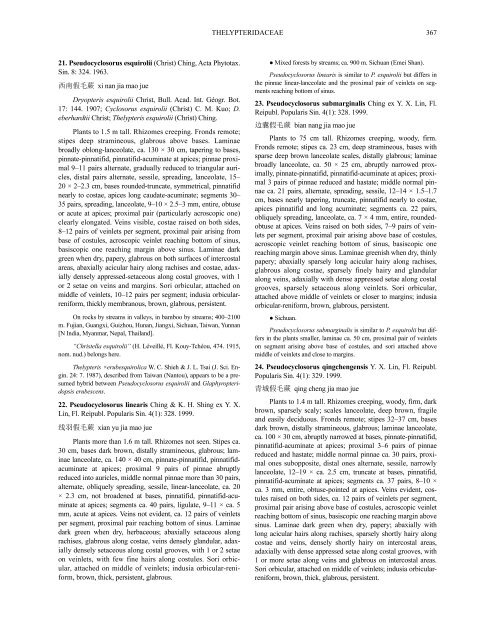 Thelypteridaceae (PDF)