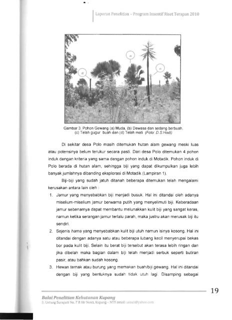 Program Insentif Riaet - KM Ristek - Kementerian Riset dan Teknologi