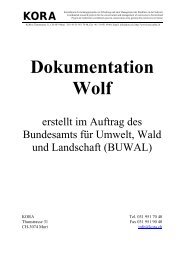 Dokumentation Wolf