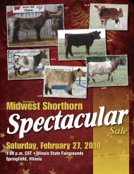 Midwest Shorthorn Spectacular - Dwyer Cattle Services