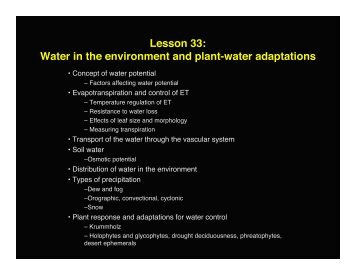 Lesson 33: Water in the environment and plant-water adaptations