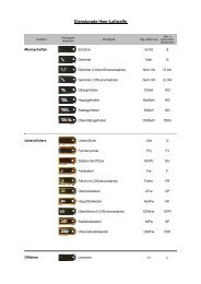 Bundeswehr Dienstgrade