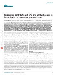 Paradoxical contribution of SK3 and GIRK channels to the activation ...