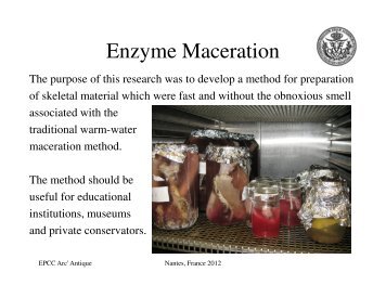 Enzyme Maceration