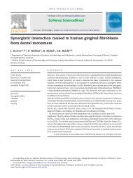 Synergistic interaction caused to human gingival fibroblasts from ...