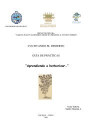 Herbario - Universidad Arturo Prat