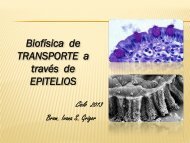 TeÃ²rico de transporte a travÃ¨s de epitelios 27-05-2013