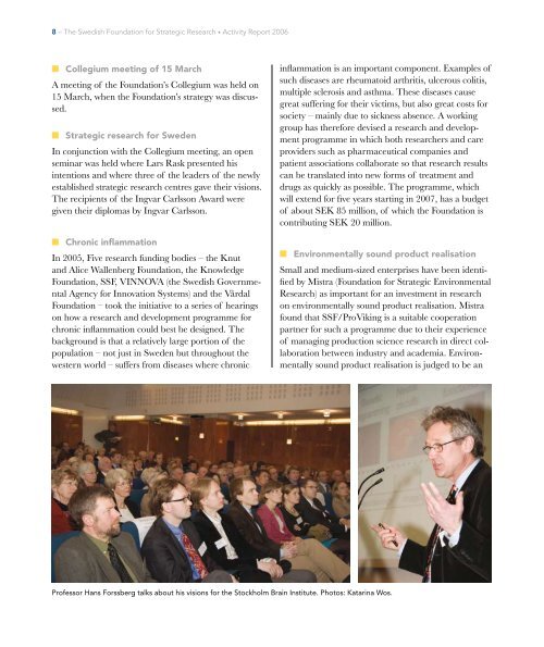 Swedish Foundation for Strategic Research Activity Report 2006