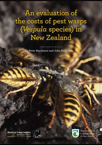 evaluation-pest-wasps-nz