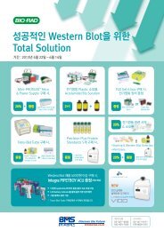 ì±ê³µì ì¸ Western Blotì ìí Total Solution