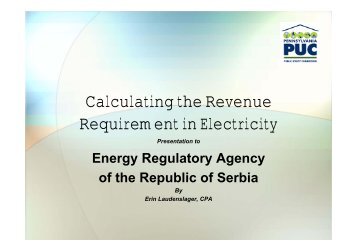 Calculating the Revenue Requirement in Electricity