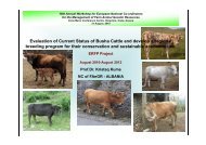 Evaluation of Current Status of Busha Cattle and develop a regional ...