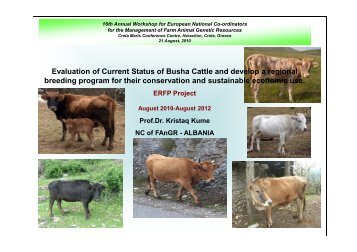 Evaluation of Current Status of Busha Cattle and develop a regional ...
