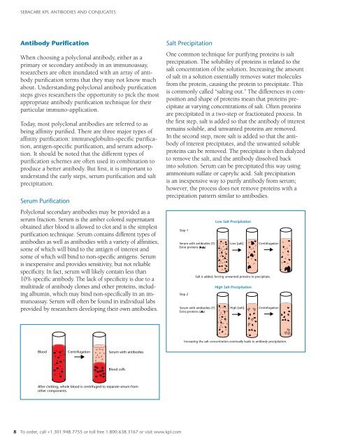 KPL Antibodies and Conjugates Catalog