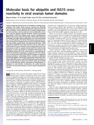 Molecular basis for ubiquitin and ISG15 cross- reactivity in viral ...