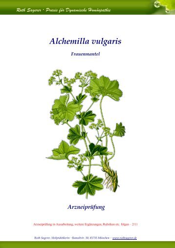 Alchemilla vulgaris Frauenmantel Arzneiprüfung - Ruth Sagerer