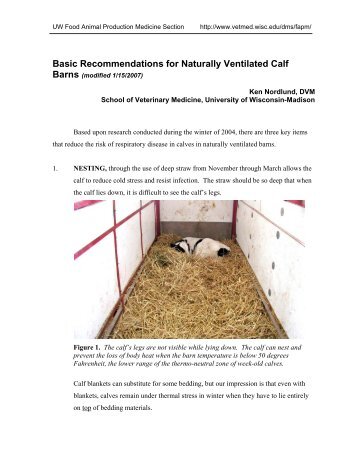 Basic Recommendations for Naturally Ventilated Calf Barns (modified