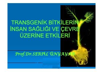 transgenik bitkilerin insan saÄlÄ±ÄÄ± ve Ã§evre Ã¼zerine etkileri