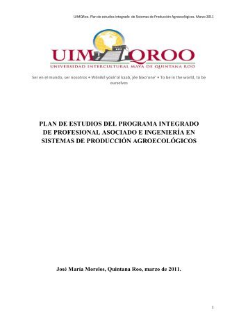 PLAN DE ESTUDIOS DEL PROGRAMA INTEGRADO ... - UIMQRoo