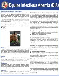 EIA Brochure - Texas Animal Health Commission