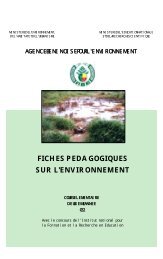 Fiches pÃ©dagogiques CE2.pdf - Terre des jeunes