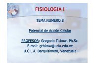 FISIOLOGIA I