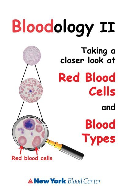 Bloodology II - New York Blood Center