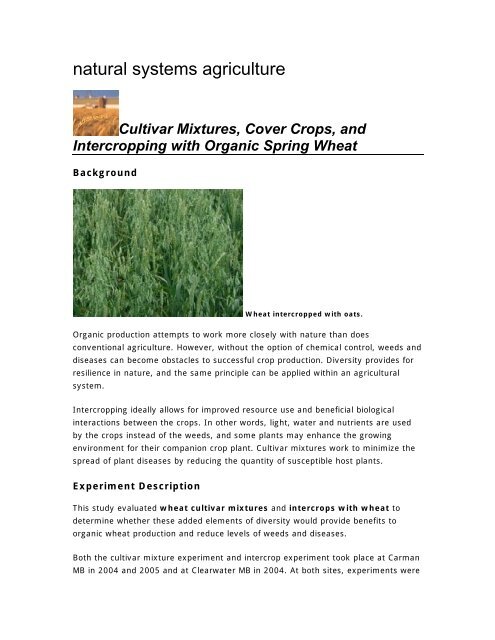 Cultivar Mixtures, Cover Crops, and Intercropping with Organic ...