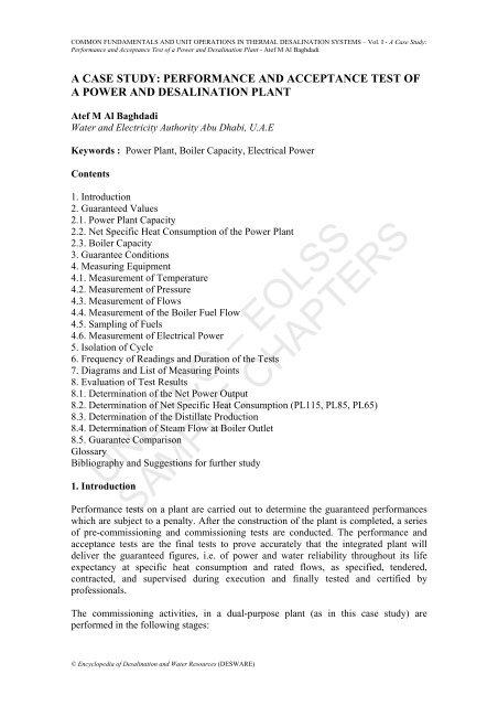 Performance and Acceptance Test of a Power and Desalination Plant