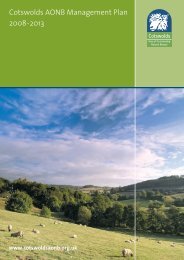 Cotswolds AONB Management Plan 2008-2013 - Cotswolds Area of ...