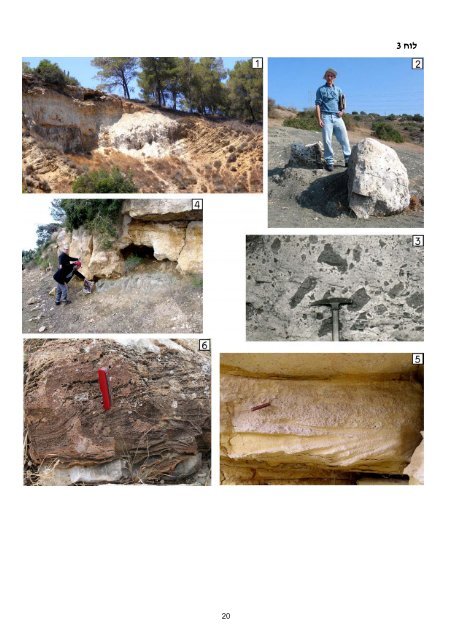×××××××××× ×©× ×××¨×× ×××××¨×× ××××§× × - Geological Survey of Israel - ××××× ...