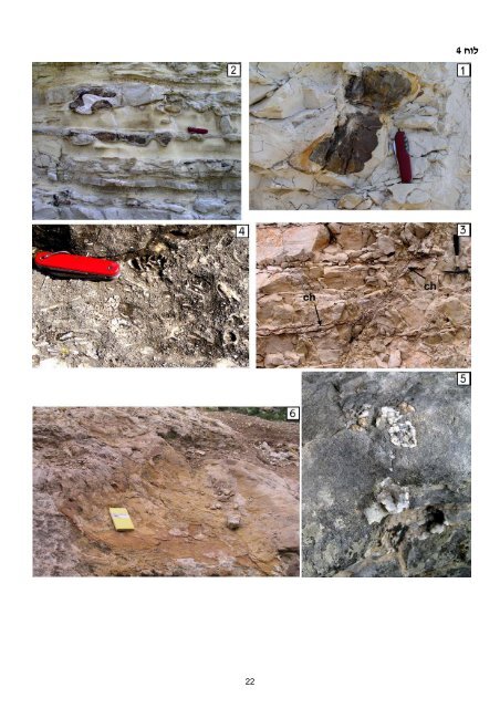 ×××××××××× ×©× ×××¨×× ×××××¨×× ××××§× × - Geological Survey of Israel - ××××× ...