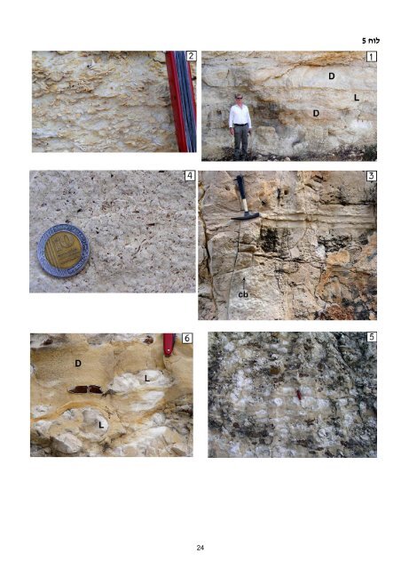 ×××××××××× ×©× ×××¨×× ×××××¨×× ××××§× × - Geological Survey of Israel - ××××× ...