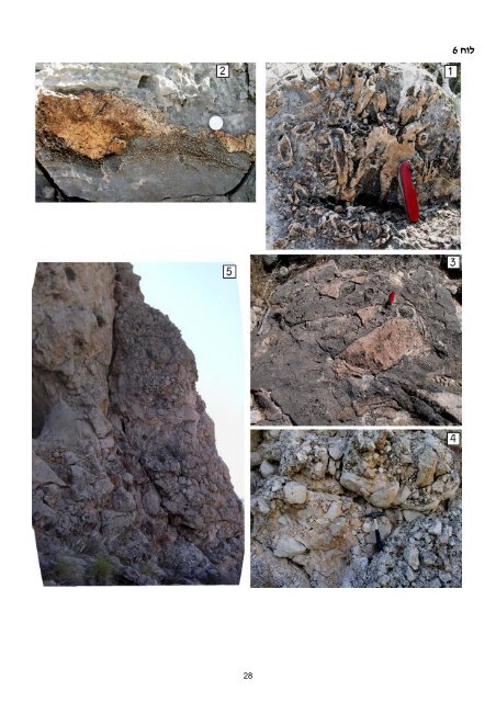 ×××××××××× ×©× ×××¨×× ×××××¨×× ××××§× × - Geological Survey of Israel - ××××× ...