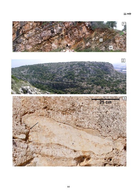 ×××××××××× ×©× ×××¨×× ×××××¨×× ××××§× × - Geological Survey of Israel - ××××× ...