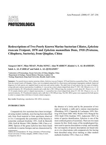 Redescriptions of Two Poorly Known Marine Suctorian Ciliates ...