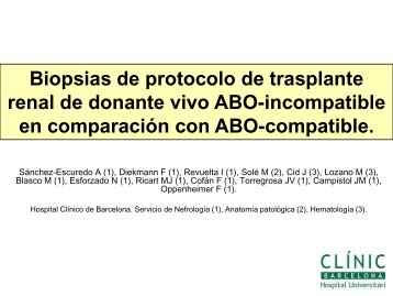 Biopsias de protocolo de trasplante renal de donante vivo ABO ...