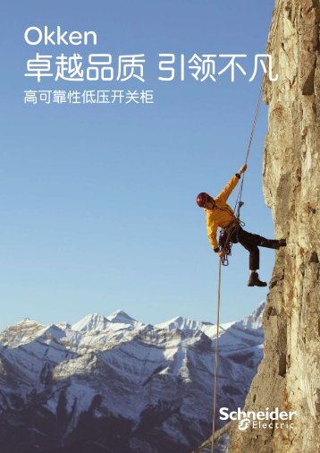 åè¶åè´¨å¼é¢ä¸å¡ - Schneider Electric