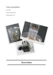 Korrosion - Unterrichtsmaterialien Chemie