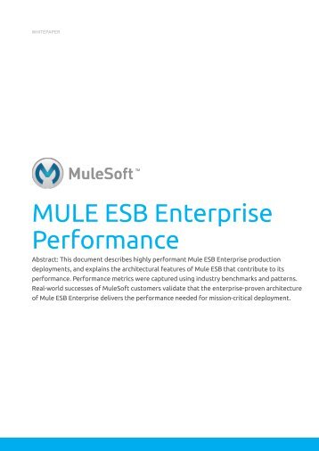 Mule Performance Metrics - MuleSoft