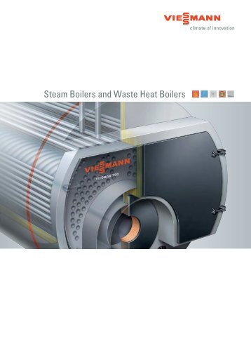 Steam Boilers and Waste Heat Boilers
