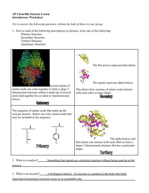 Dusty Carroll Lesson Plan 4: Getting to know Lactase Background ...