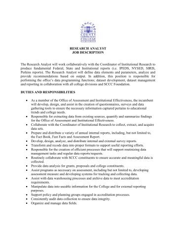 reporting analyst job description
