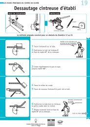 Dessautage cintreuse d'établi 19