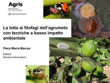 Piera Maria Marras - Agris [file .pdf] - Sardegna Agricoltura