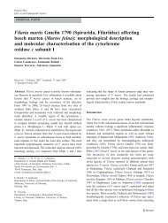 Filaria martis Gmelin 1790 (Spirurida, Filariidae) affecting beech ...