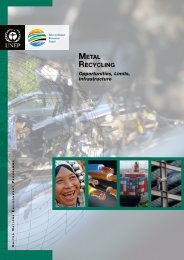 Metal Recycling: Opportunities, Limits, Infrastructure - UNEP