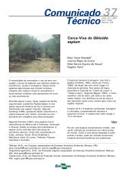 Cerca-Viva de Gliricidia sepium - Embrapa